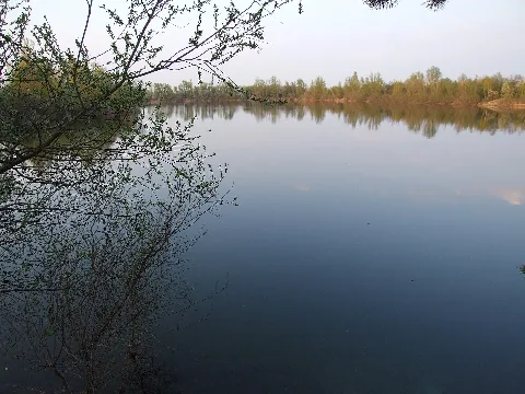 Gänsedrecksee, Blick Auf Das Nordufer