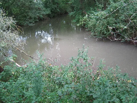 Gänsmühlbach Mündung 2