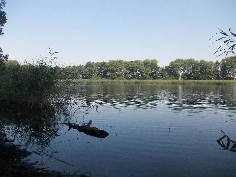 Galgenteichlt1