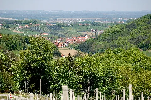 Gamlitz Vom Schererkogl 01