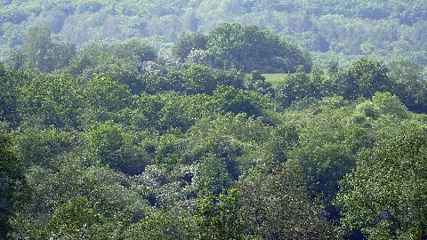 Garbenheim Würzberg