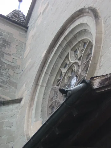 Gargouille Église Saint Étienne Moudon