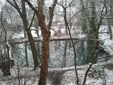 Garten Altmannsdorf