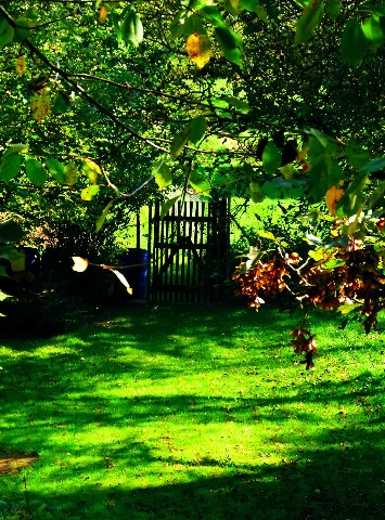 Gate Panoramio (12)