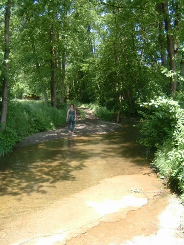 Gaybach 056