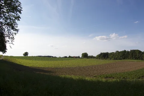 Geerlisbergklotenvii