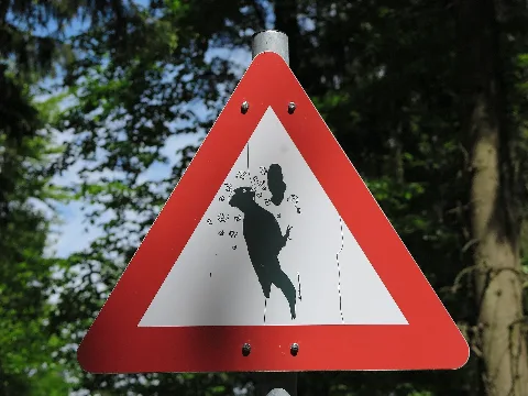 Gefahrenzeichen Specht
