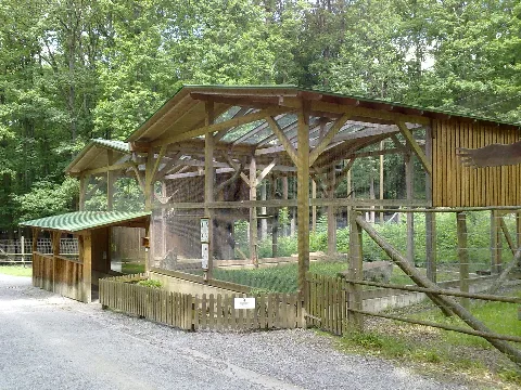 Geiergehege Panoramio