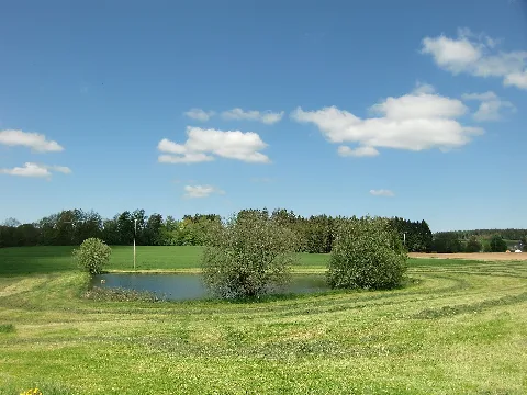 Gemarkung Wüstenselbitz