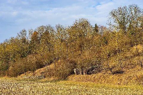 Gemmingen Stebbach Stebbach Tal Hänge Im Mittleren Seeberg