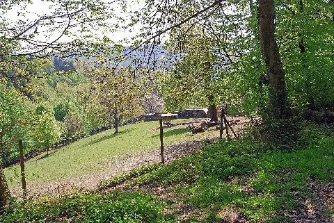 Gengenbach Rehe