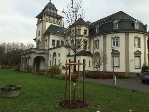Georg Christoph Lichtenberg Haus Der Tu Darmstadt
