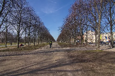Georgengarten In Der Nordstadt (Hannover) Img 5214