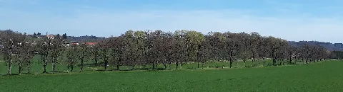 Geotop 175R009 Umlaufberg Roßkopf E Von Ebersberg 01 (Harald Süpfle)