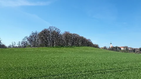 Geotop 175R009 Umlaufberg Roßkopf E Von Ebersberg 02 (Harald Süpfle)