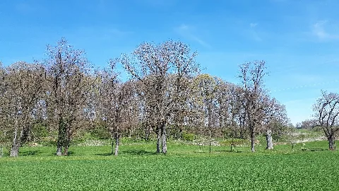 Geotop 175R009 Umlaufberg Roßkopf E Von Ebersberg 07 (Harald Süpfle)