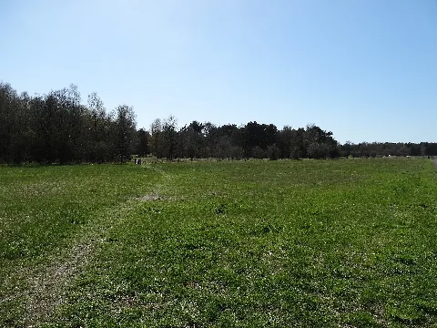 Geplantes Naturschutzgebiet Binnenduenen Nordoe Dsc01699