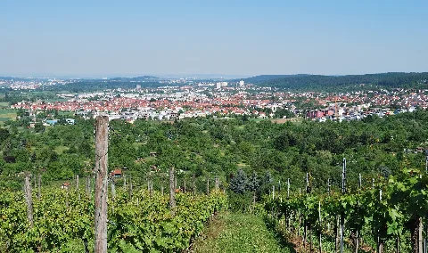 Gerlingen Panorama Forchenrainstraße