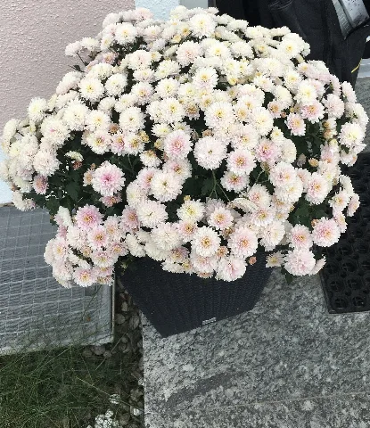 Germany And It’s Beauty