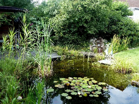 Germany Oberhausen Sterkrade Nord – Gartenidylle 4 Von 4 Panoramio