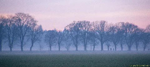 Germering, Gut Streiflach Heimker Vom Ersten Spaziergang Im Jahr (11745314153)