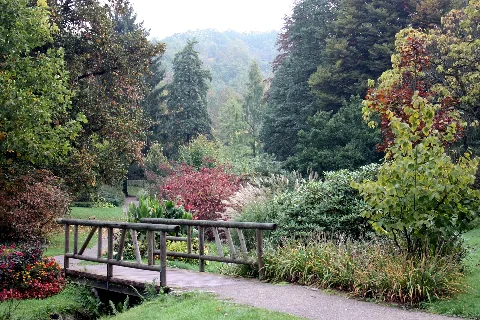 Gernsbach, Bridge In The Spa Park