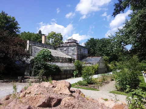 Gewächshaus Botanischer Garten Graz 20120731