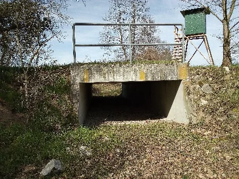 Gießgraben (Kriegbach), Durchlass Bei Kirrlach