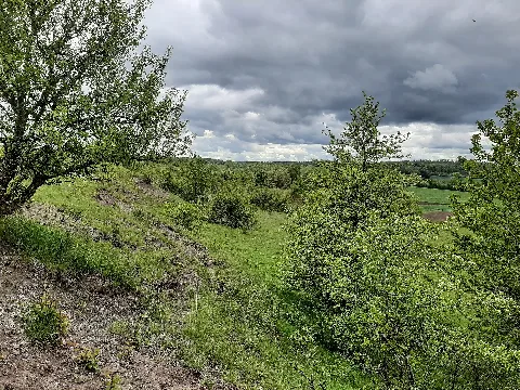 Gipsbruch Kirchbühl 202105 04