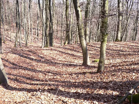 Zum Steinbruch