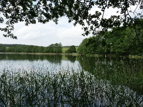 Glammsee (Witzin) 08 06 2010 569