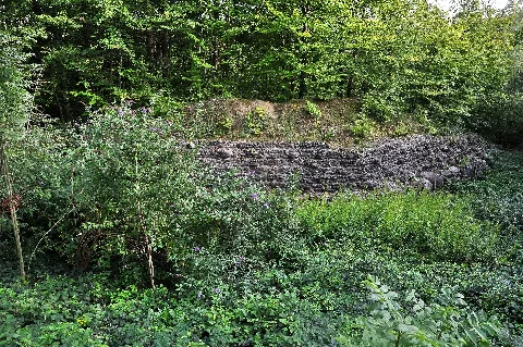 Glanzenberg, Mittelalterliche Burg