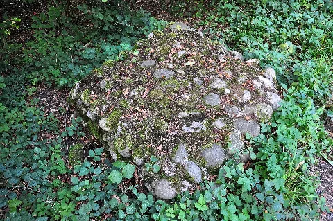 Glanzenberg, Mittelalterliche Wüstung 2011 09 06 18 32 28