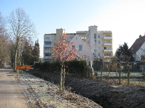Göttingen 2011, 17, Rehbachstraße, Grone, Göttingen, Landkreis Göttingen