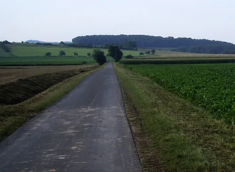 Goettingen Geismar Feldweg 01