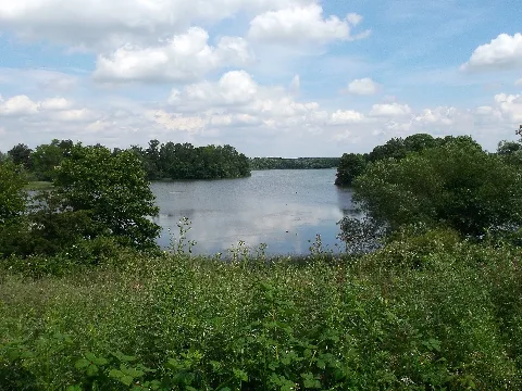 Goldensee Bei Ratzeburg
