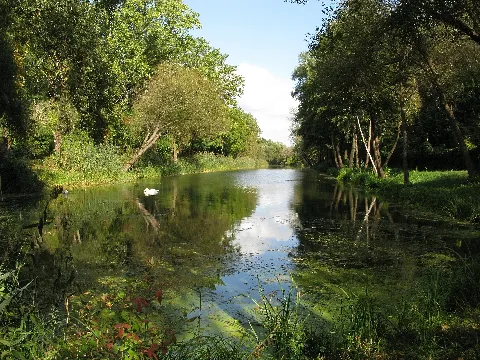 Golmer Stichkanal