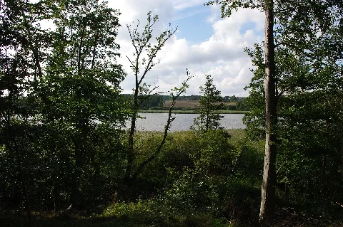 Goossee O
