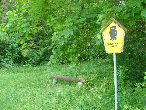 Gottesholz Bei Espenfeld, Arnstadt