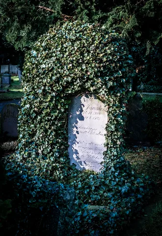 Gpez Jansssen Grave 2016