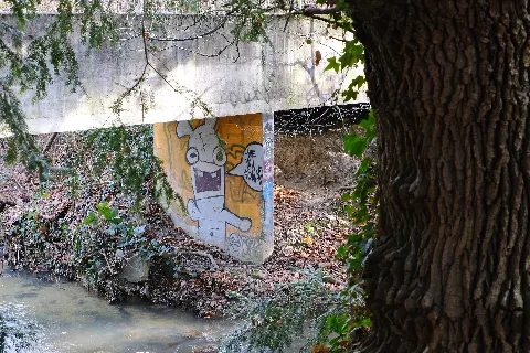 Graffiti @ Chêne Bourg (50834576321)