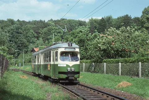 Graz Tramways Car 282 On Line 1