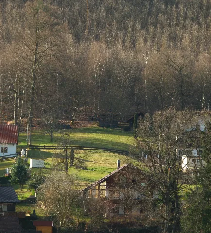 Green Panoramio (2)