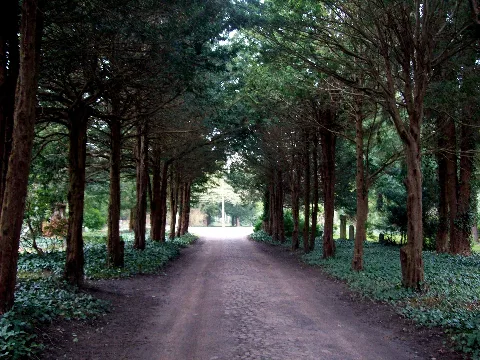 Greifswaldalterfriedhof
