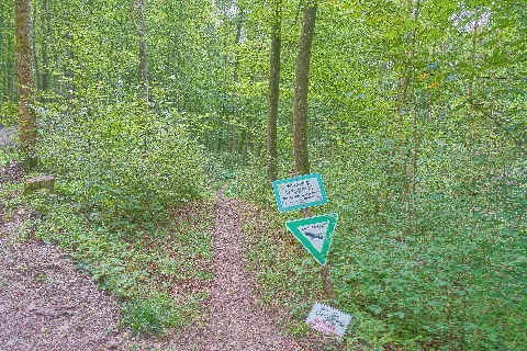 Grenzach Wyhlen Naturschutzgebiet Ruschbachtal Bild 20