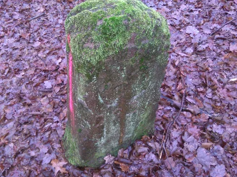 Grenzenassausaarbrücken Kerpenillingen 293