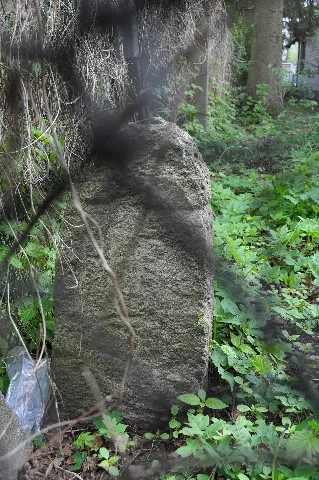 Grenzstein Nr. 25 Herrschaft Pinneberg (Hamburg Langenhorn).1.Ajb