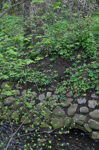 Grenzstein Nr. 25 Herrschaft Pinneberg (Hamburg Langenhorn).2.Ajb