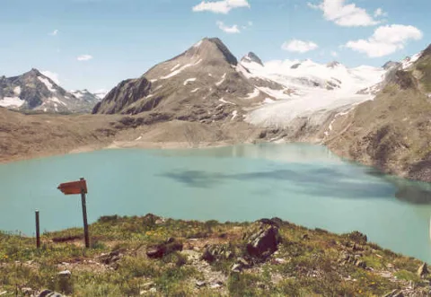Griessee