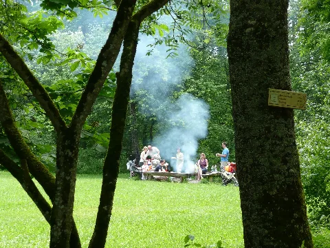 Grillplatz Im Naturpark Schönbuch Panoramio Qwesy (1)
